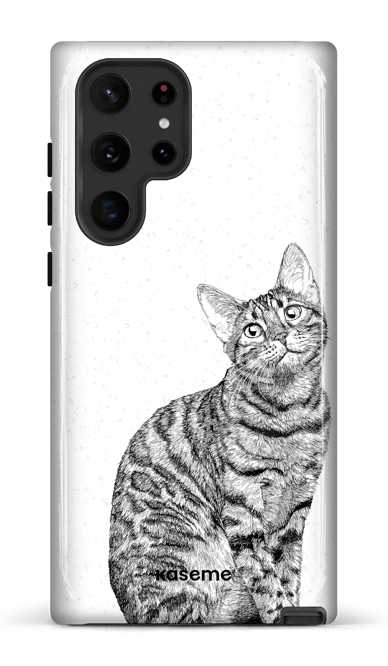 Bengal