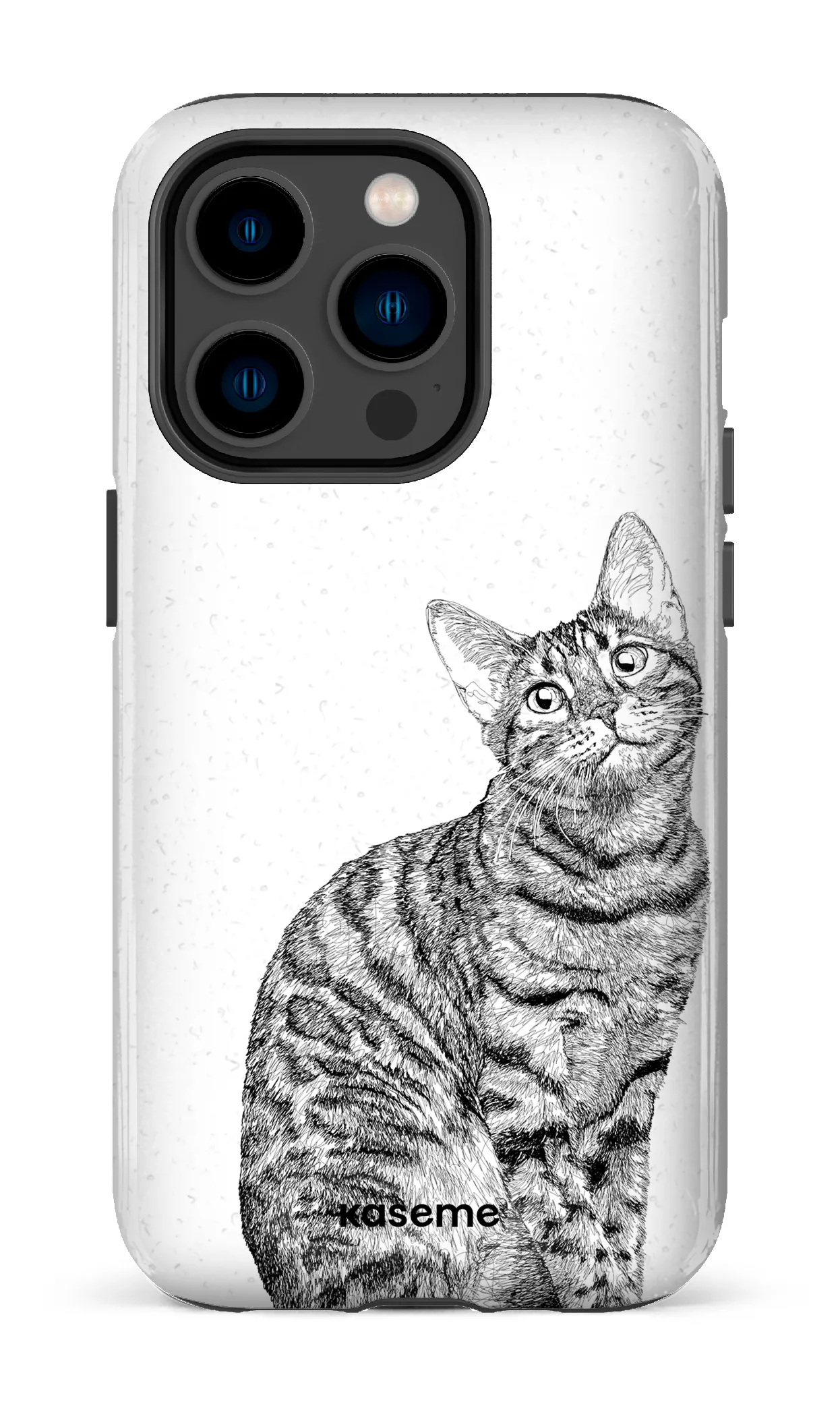 Bengal