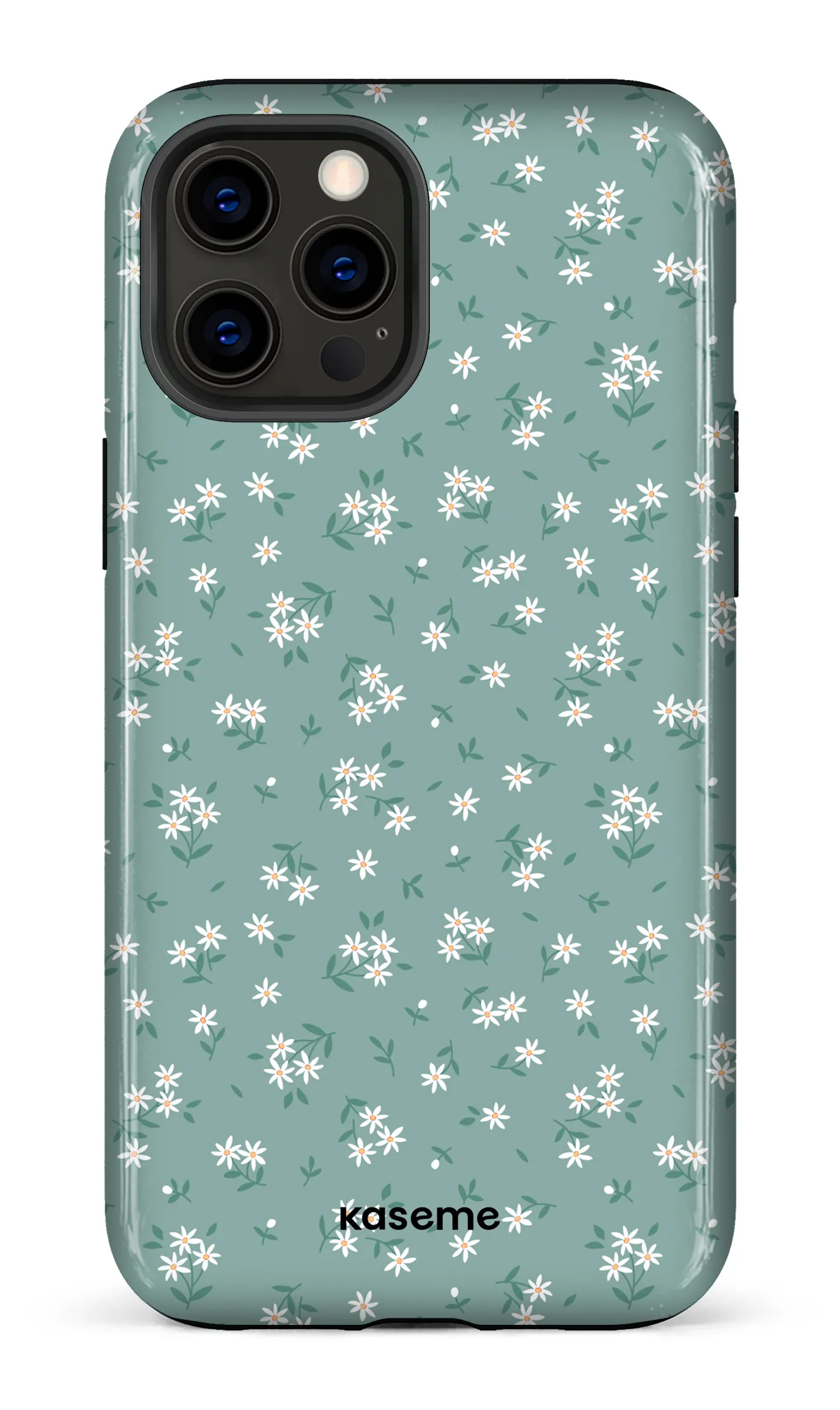 Bush Turquoise