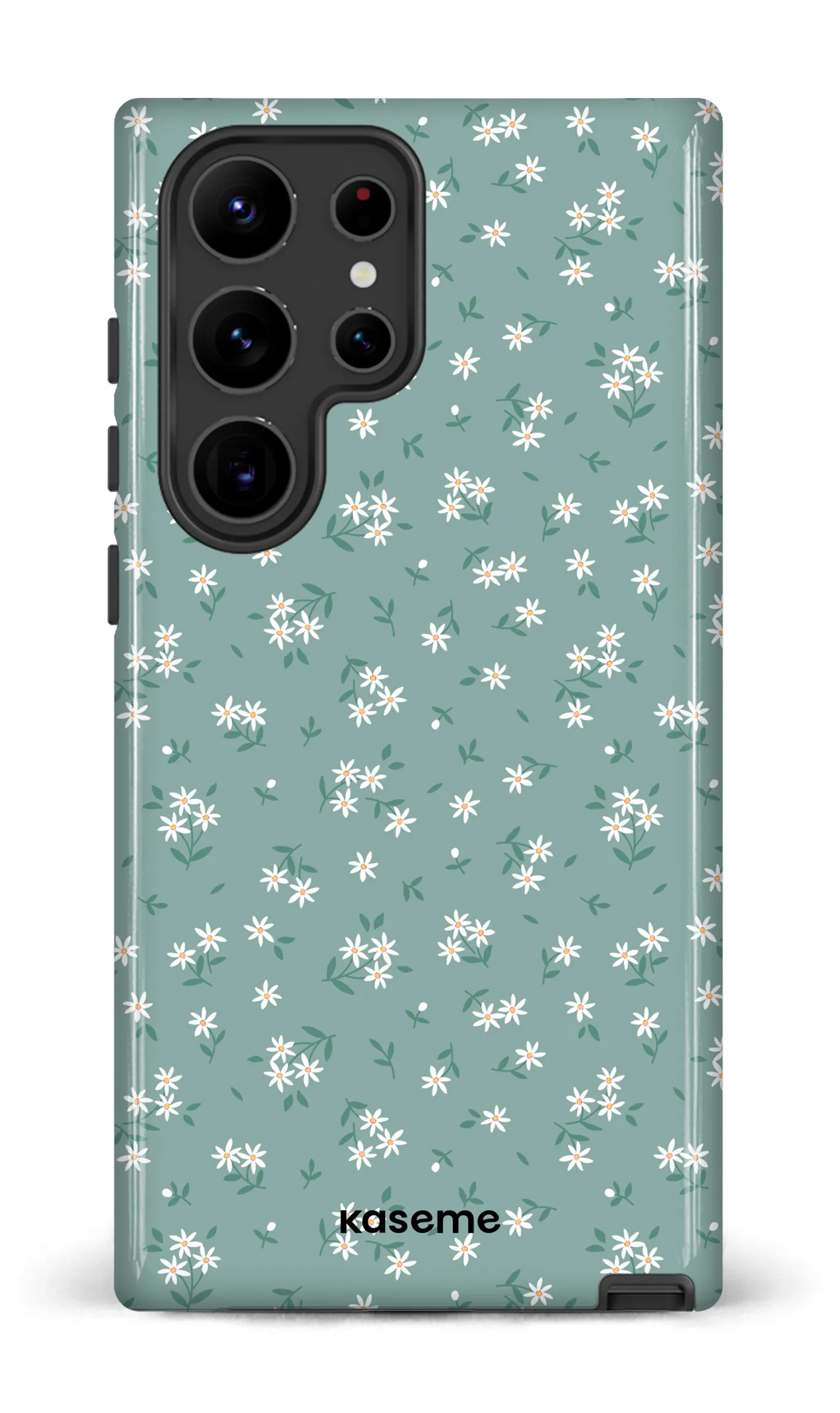 Bush Turquoise