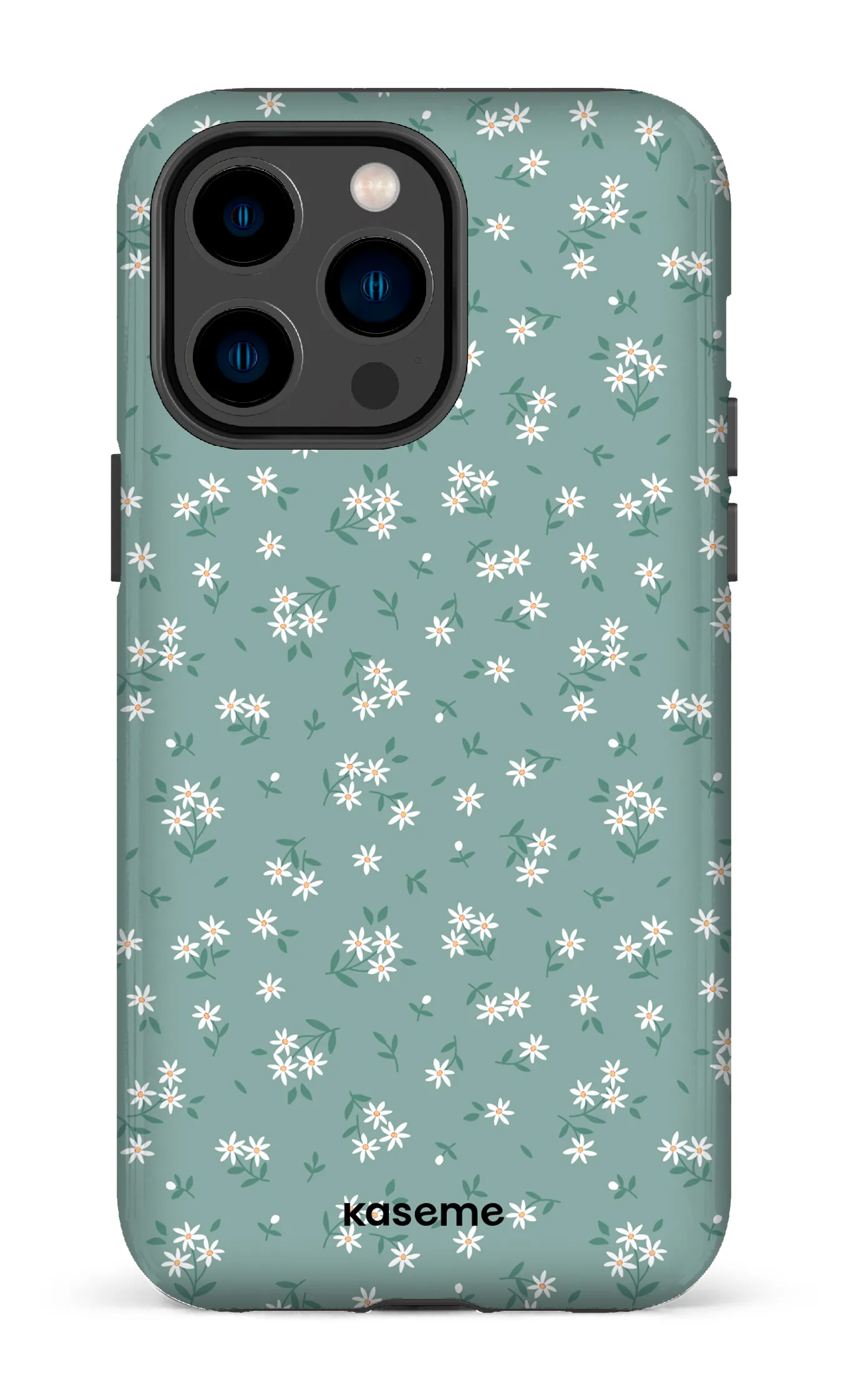 Bush Turquoise