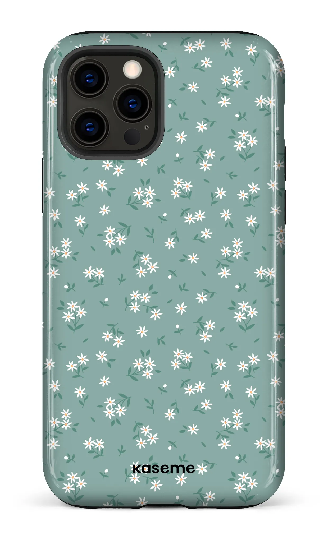Bush Turquoise