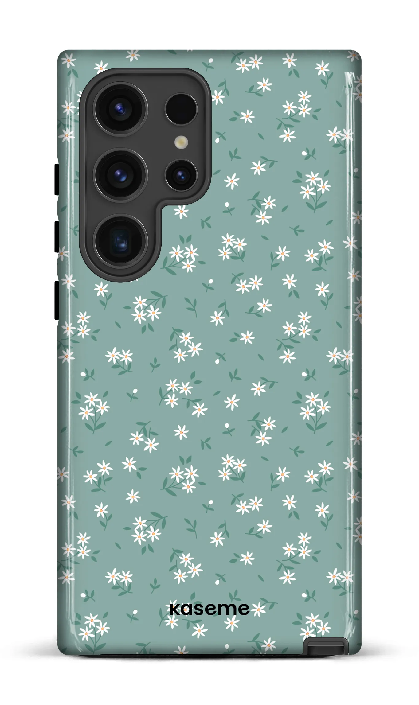 Bush Turquoise