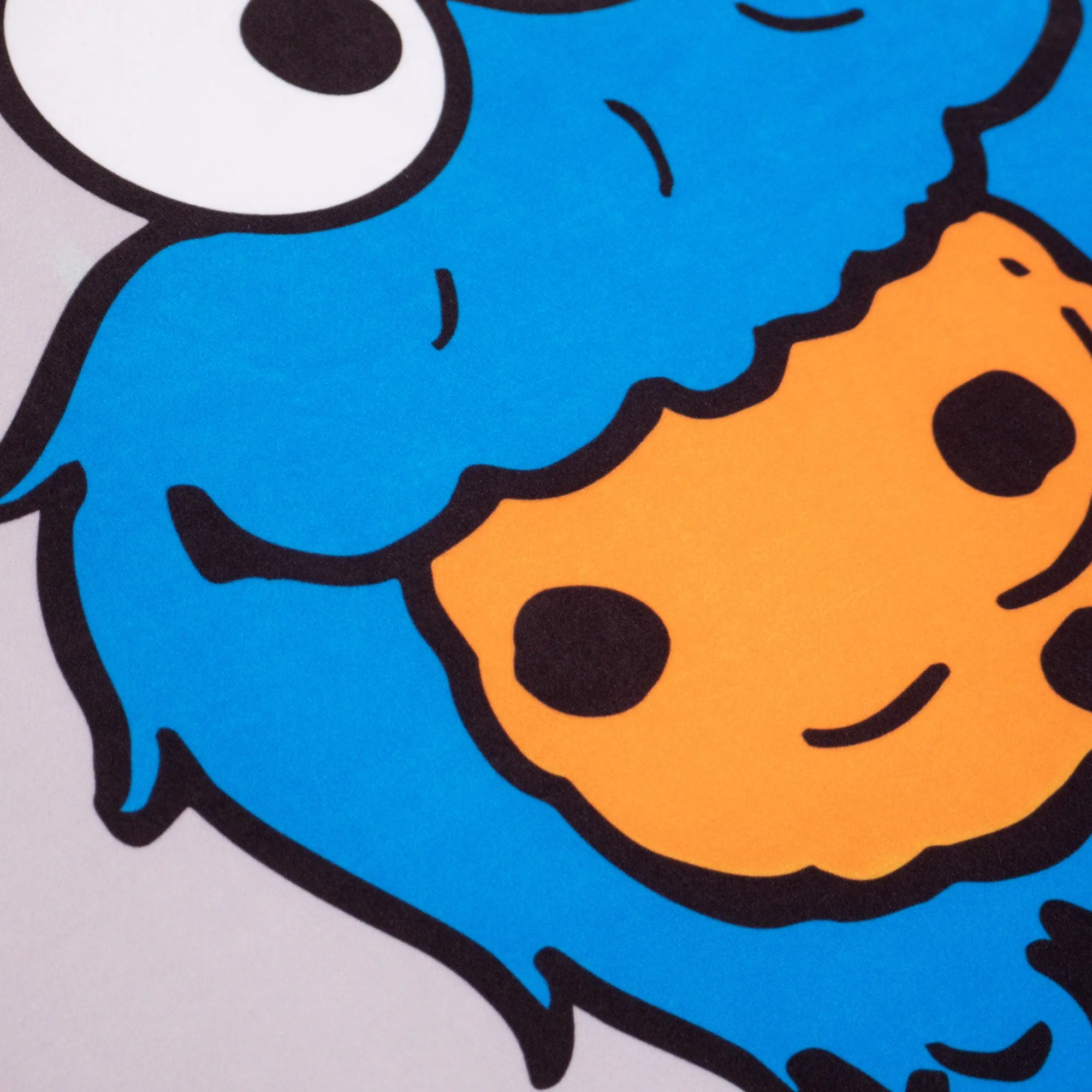 Flexforma Junior Children's Bean Bag Chair 2-14 yr - Cookie Monster