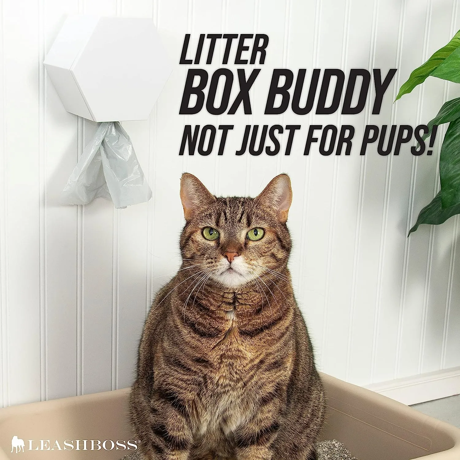Wall-Mounted Poop Bag Dispenser with 8 Rolls of Bags